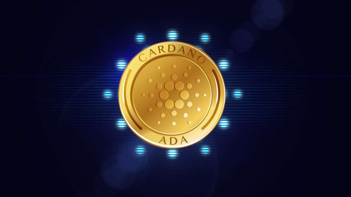 Altcoin season: como funciona o ciclo de alta das altcoins?