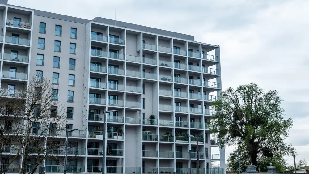 Infestações em apartamentos