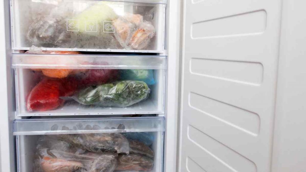 O que devo saber na hora de comprar um freezer