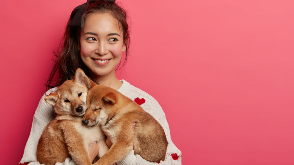 significado de sonhar com animais 1024x576 1