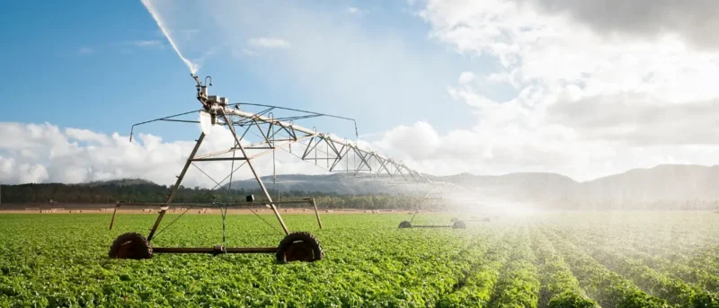Fiagros: o agronegócio além das commodities